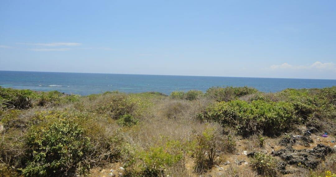1-Acre Beach Plot with Garden