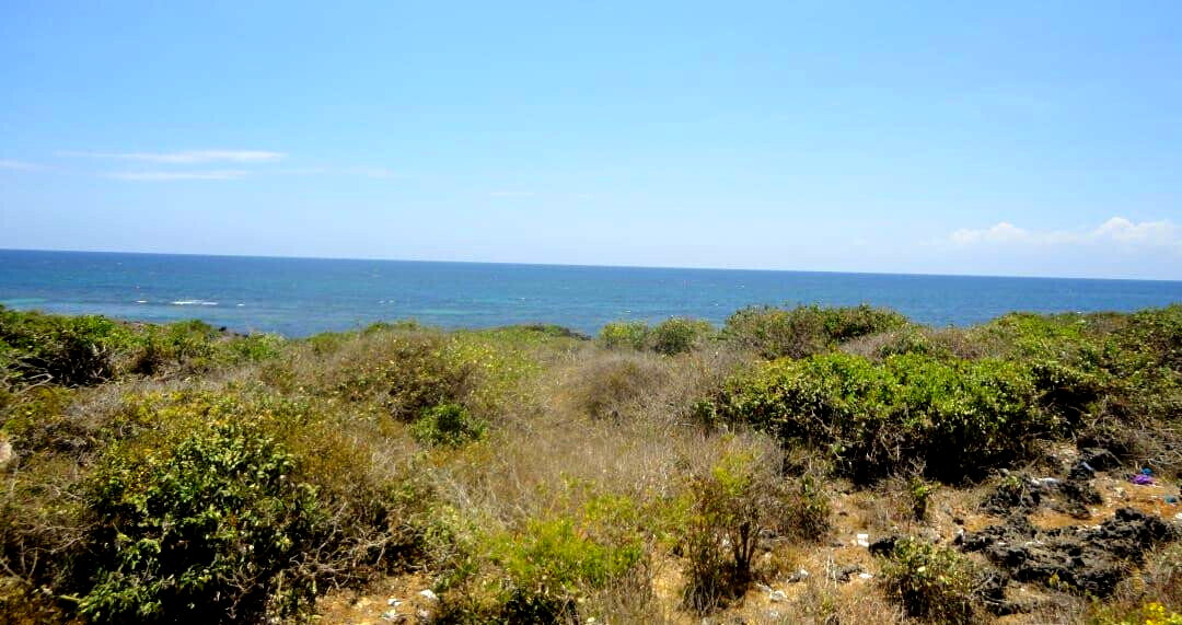 1-Acre Beach Plot with Garden