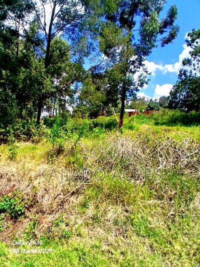 Prime 1/4 Acre Vet,Ngong - Image 5