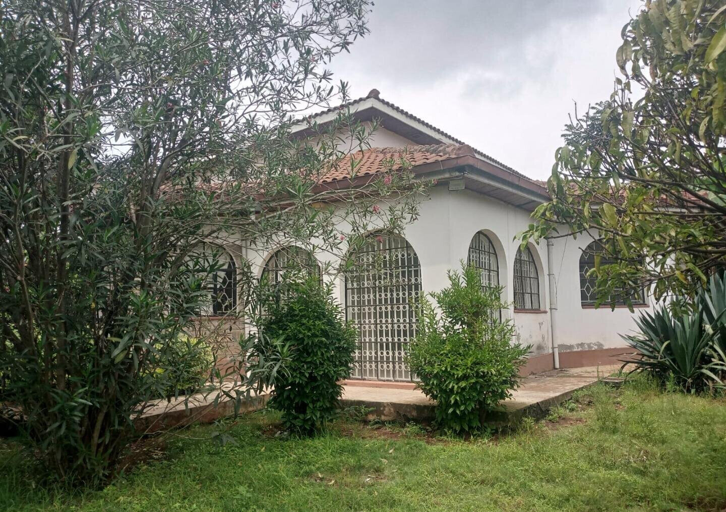 50x100 Plot 4BR Garden Home