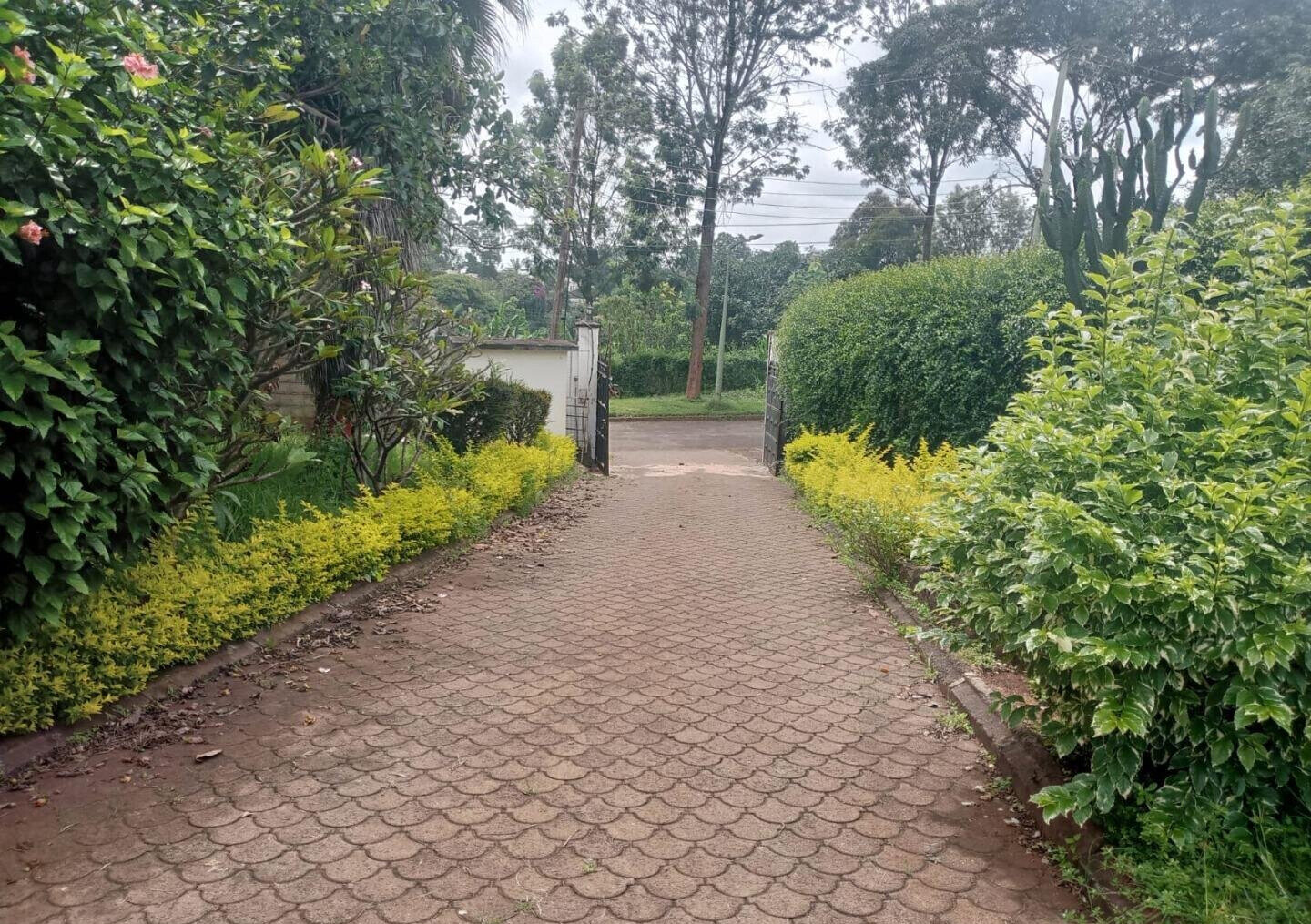 50x100 Plot 4BR Garden Home