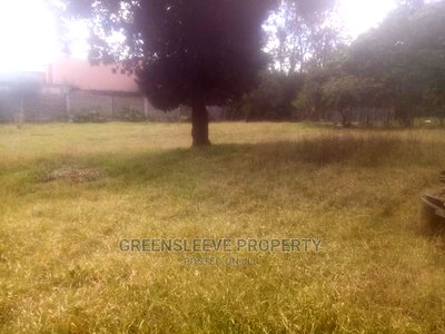 Half Acre for Sell - Image 5