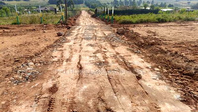 Affordable Plots With Premium Value in Kikuyu Ndiguine - Image 3