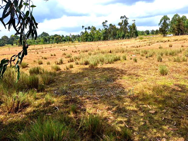 1acre Plot in Nyahururu Environs