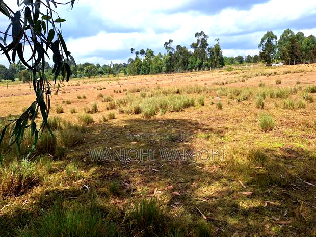 1acre Plot in Nyahururu Environs