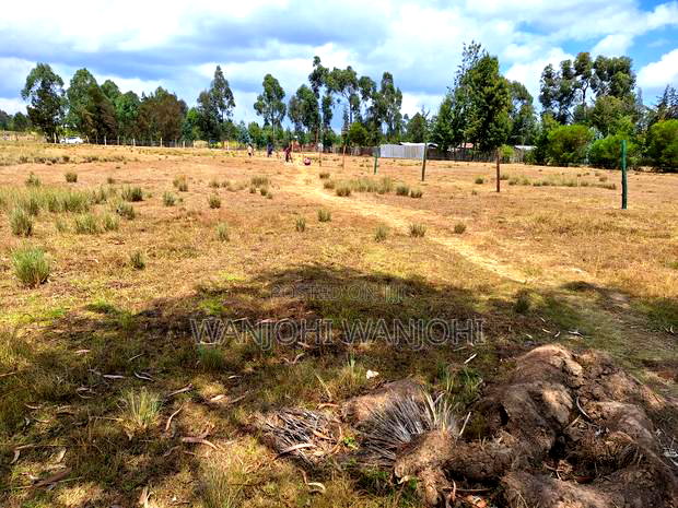 1acre Plot in Nyahururu Environs