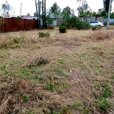 Prime Plot Kenol Town Muranga County 40 by 80 2.5M - Image 2