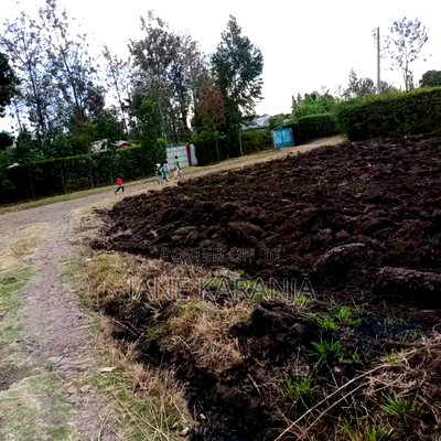 Prime Plot Kenol Town Muranga County 40 by 80 2.5M - Image 3