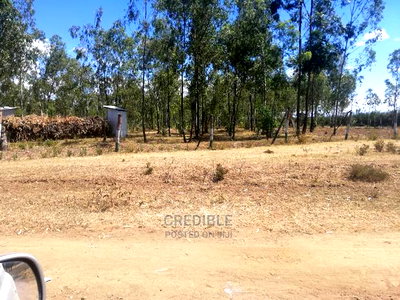 Ideal Plots Next to Surtan Primary in Miti Mingi for Sale - Image 5
