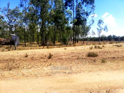 Ideal Plots Next to Surtan Primary in Miti Mingi for Sale - Image 3