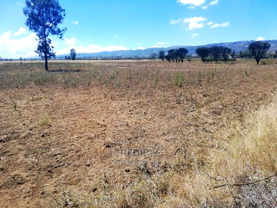 Ideal Plots Next to Surtan Primary in Miti Mingi for Sale - Image 1