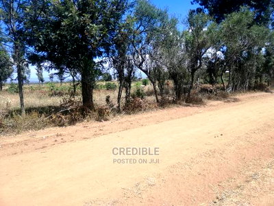 Ideal Plots Next to Surtan Primary in Miti Mingi for Sale - Image 4