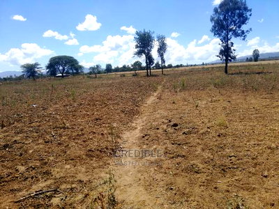 Ideal Plots Next to Surtan Primary in Miti Mingi for Sale - Image 9