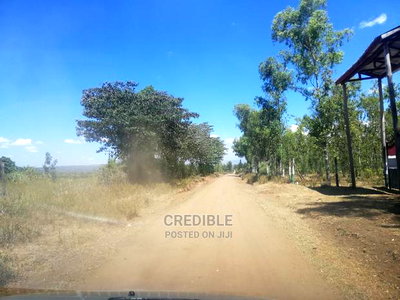 Ideal Plots Next to Surtan Primary in Miti Mingi for Sale - Image 2