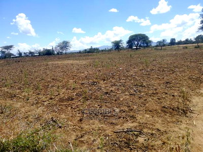 Ideal Plots Next to Surtan Primary in Miti Mingi for Sale - Image 8
