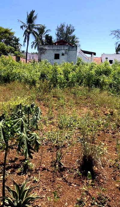 Half Acre for Sale Inn Nyali Near City Mall - Image 3