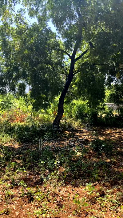 Half Acre for Sale Inn Nyali Near City Mall - Image 5