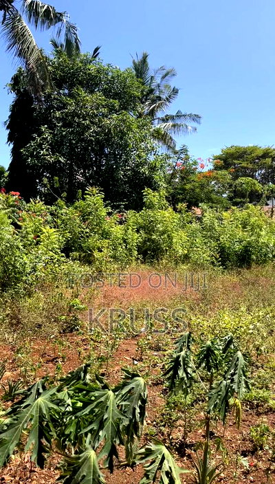 Half Acre for Sale Inn Nyali Near City Mall - Image 4