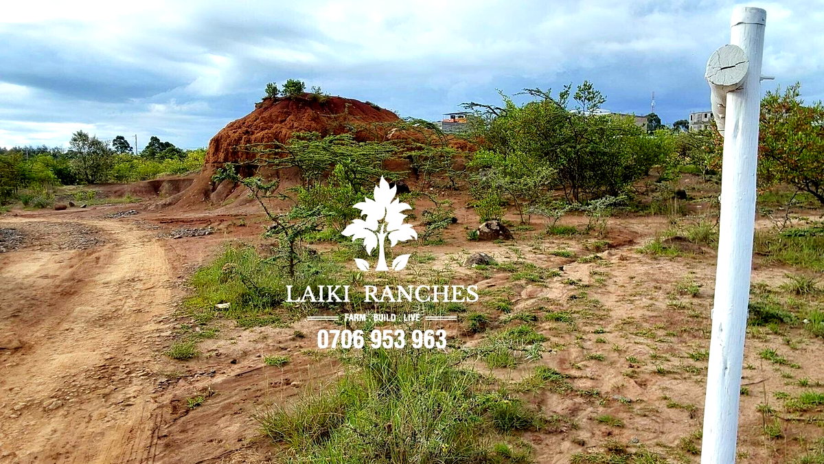0.62 Acre Plot with Garden at KSh 8.2M