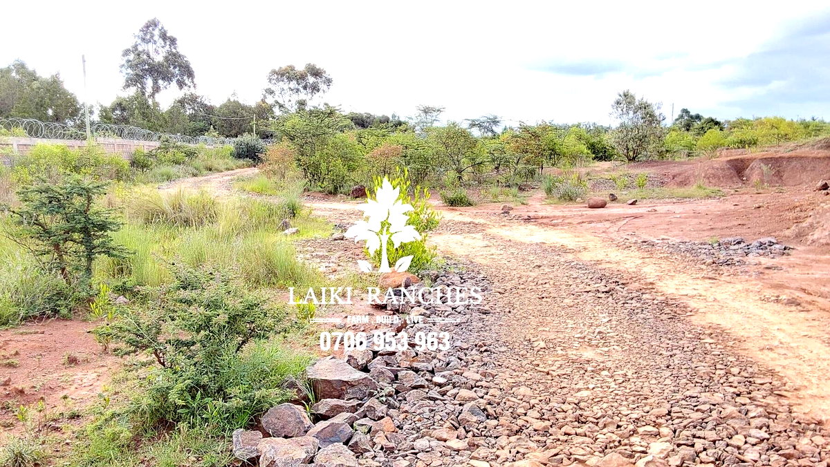 0.62 Acre Plot with Garden at KSh 8.2M