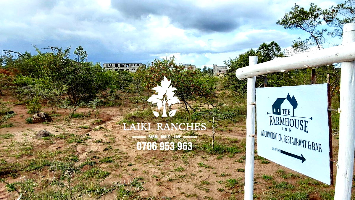 0.62 Acre Plot with Garden at KSh 8.2M