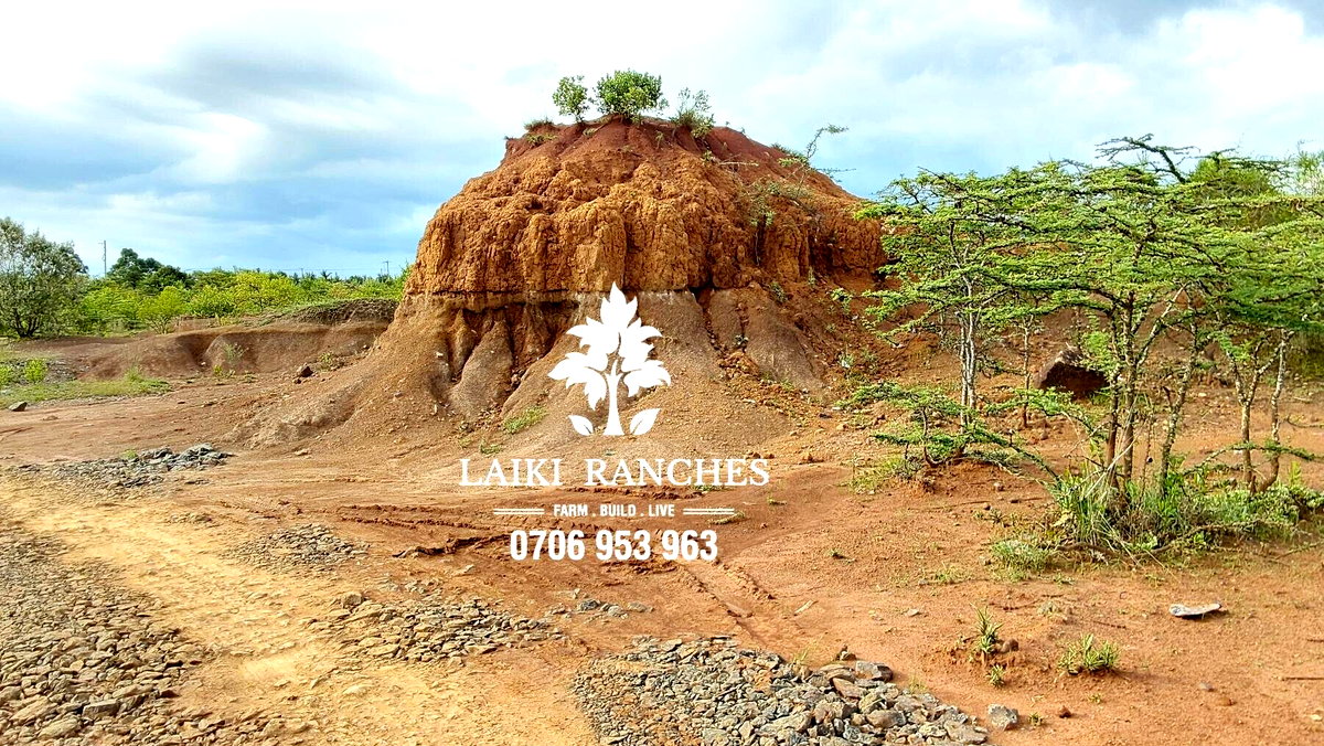 0.62 Acre Plot with Garden at KSh 8.2M