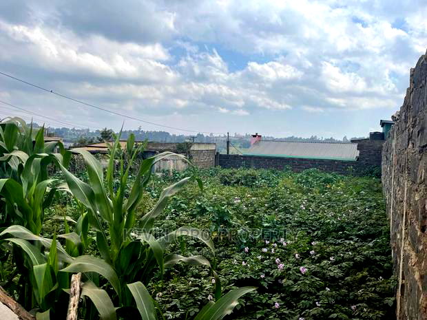 Plot for Sale in Limuru, Karanjee.