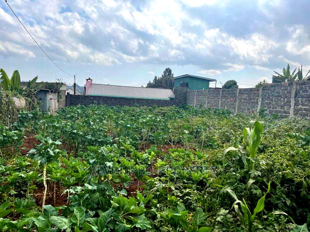 Plot for Sale in Limuru, Karanjee.