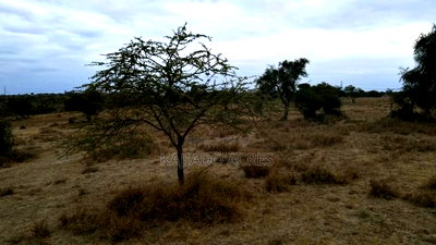 40 and 100 Acres Imaroro- Konza Road - Image 8