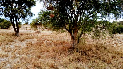 40 and 100 Acres Imaroro- Konza Road - Image 4