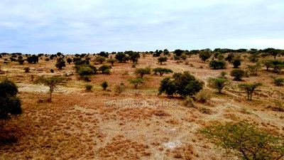 40 and 100 Acres Imaroro- Konza Road - Image 2