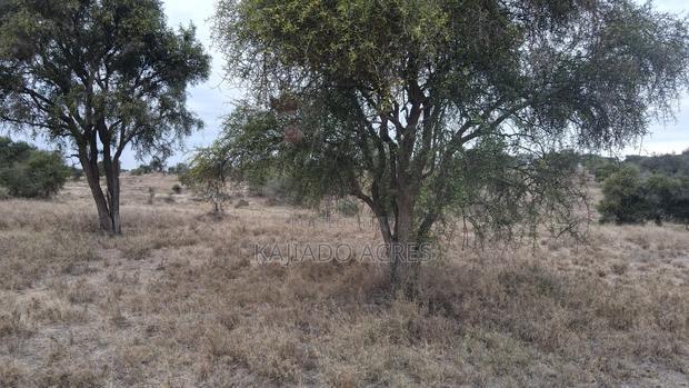 40 and 100 Acres Imaroro- Konza Road