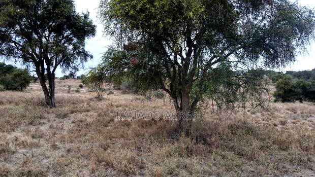 40 and 100 Acres Imaroro- Konza Road