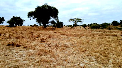 40 and 100 Acres Imaroro- Konza Road - Image 1