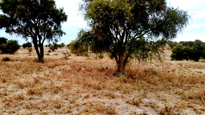 40 and 100 Acres Imaroro- Konza Road - Image 5