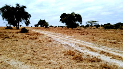 40 and 100 Acres Imaroro- Konza Road - Image 10