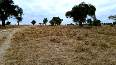 40 and 100 Acres Imaroro- Konza Road - Image 7