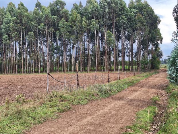 1/4 Acre Plots in Nyahururu