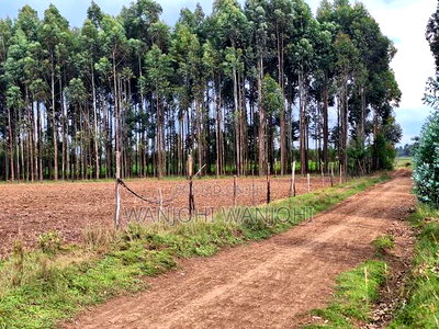 1/4 Acre Plots in Nyahururu - Image 8