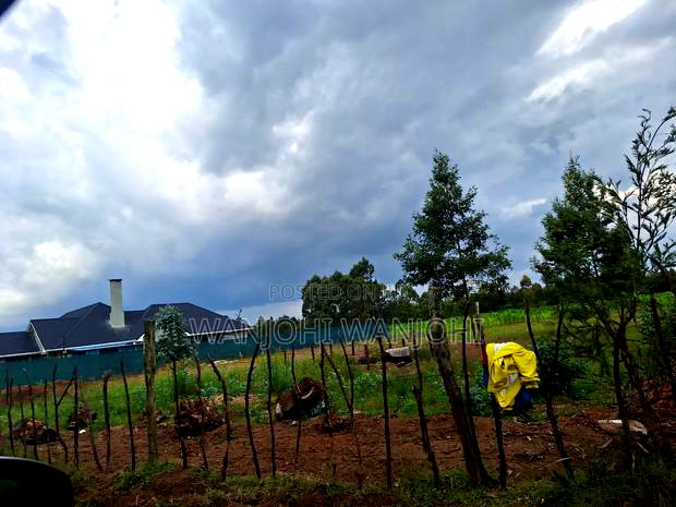 1/4 Acre Plots in Nyahururu