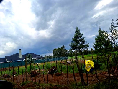 1/4 Acre Plots in Nyahururu - Image 4
