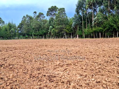 1/4 Acre Plots in Nyahururu - Image 7