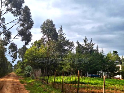 1/4 Acre Plots in Nyahururu - Image 2