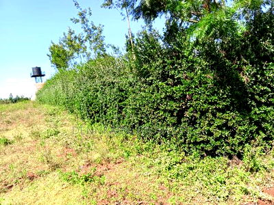 Prime Residential Plot in Jambu TV, Thogoto, Gikambura! - Image 8