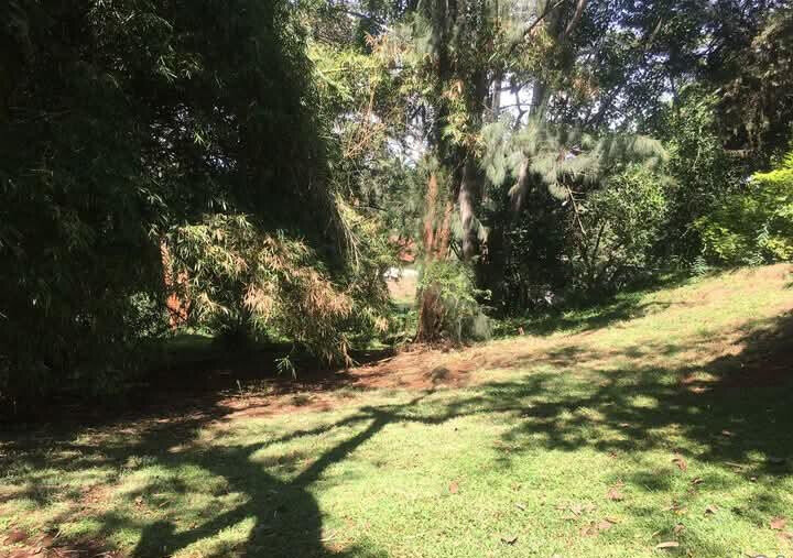 1.2-Acre Plot at KSh 120M