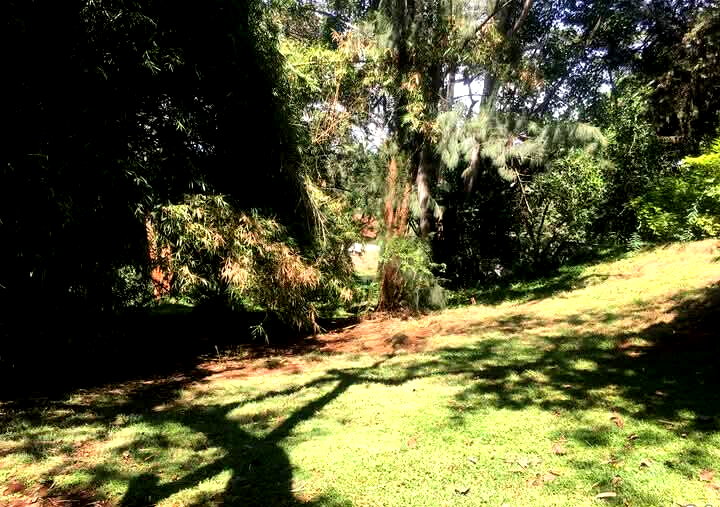 1.2-Acre Plot at KSh 120M