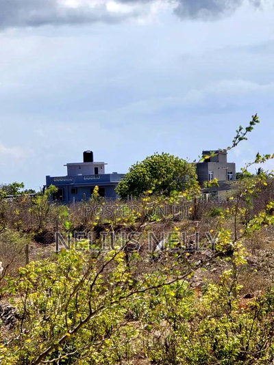 2nd Row Beach Plots for Sale Kilifi Bofa - Image 4