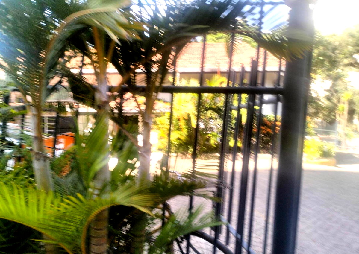 Quarter Acre Plot with Parking in Hurlingham