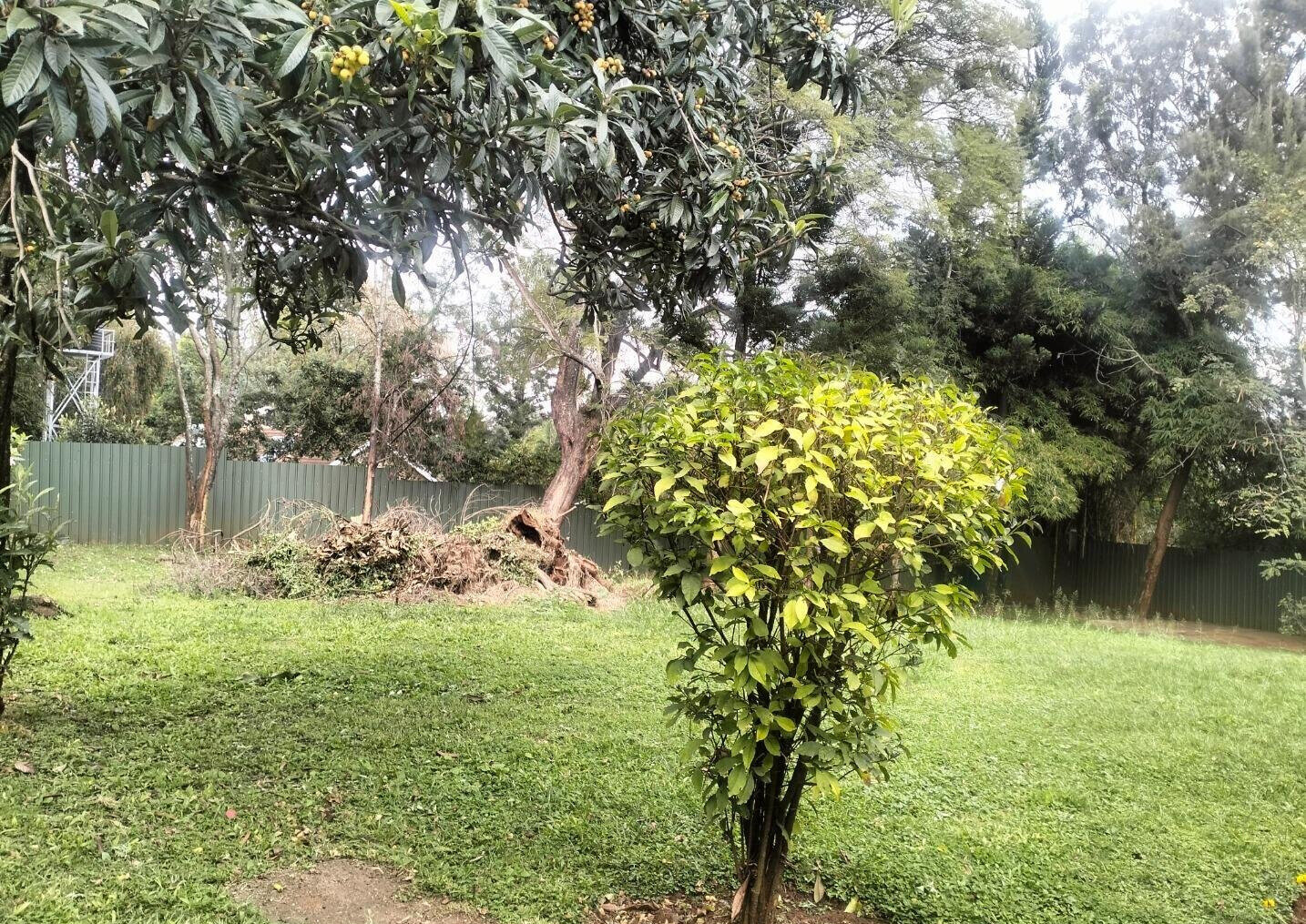 1.1 Acre Kilimani Plot at KSh 350M