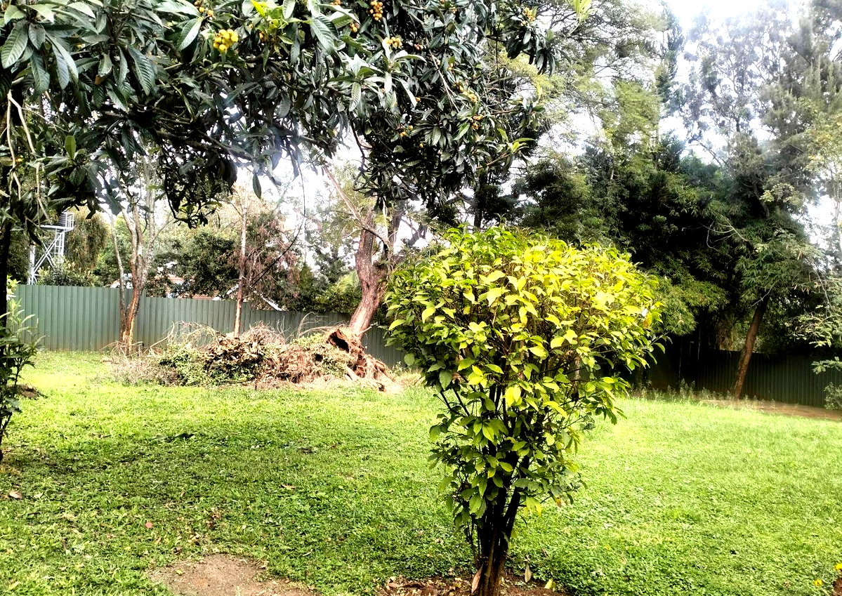 1.1 Acre Kilimani Plot at KSh 350M